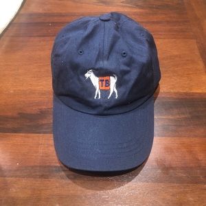 Tom Brady New England Patriots GOAT NFL Dad Hat